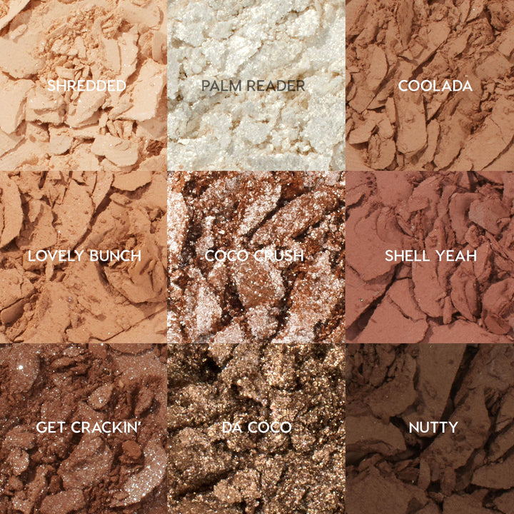 Coconut BB - Classic Pick